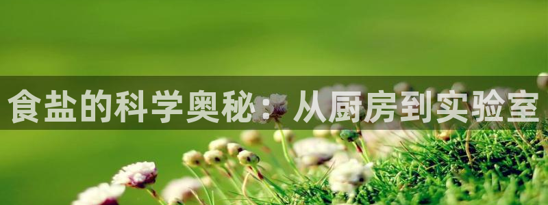 威九国际空降