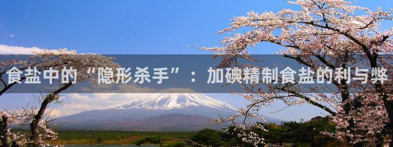 威九国际的演员