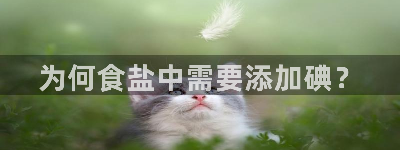 威九国际小说