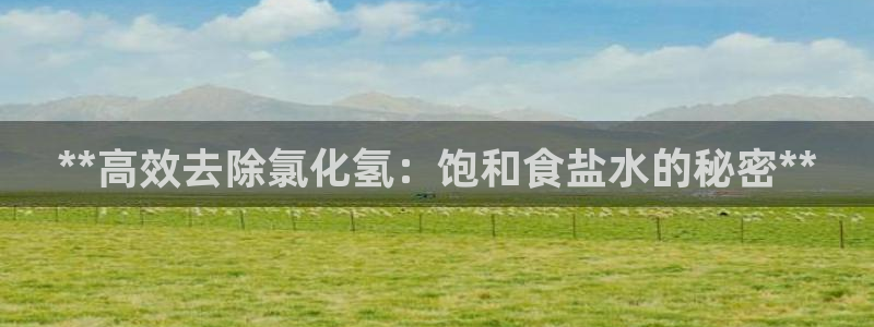 威九国际com