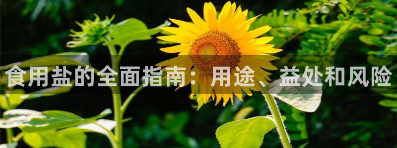 威九国际的金融服务