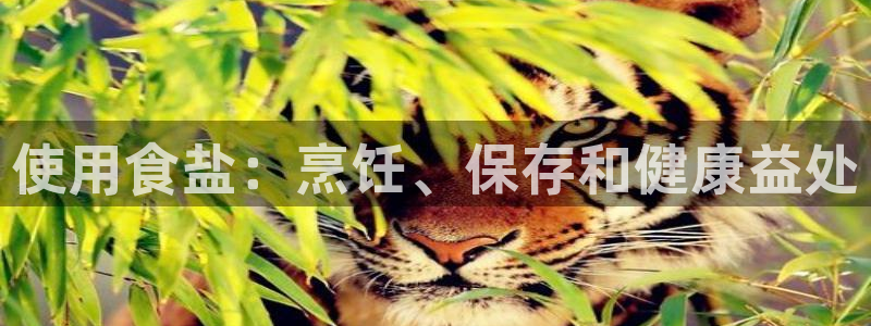 78.m威九国际官网版