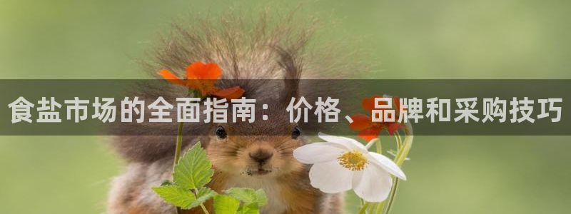 威九国际v96bet下载