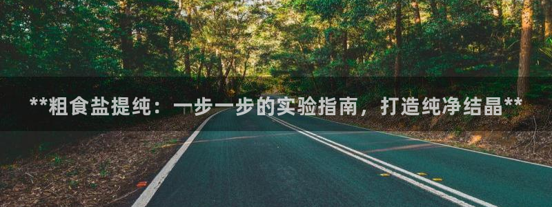 威九国际软件