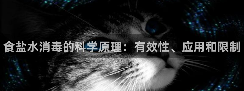 威九国际电子有限公司