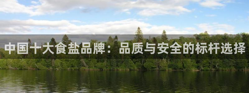 威九国际ppt官网