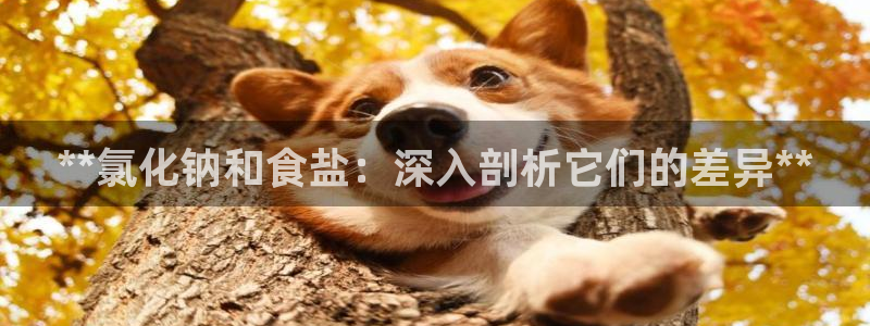 威九国际网站客服电话多少啊
