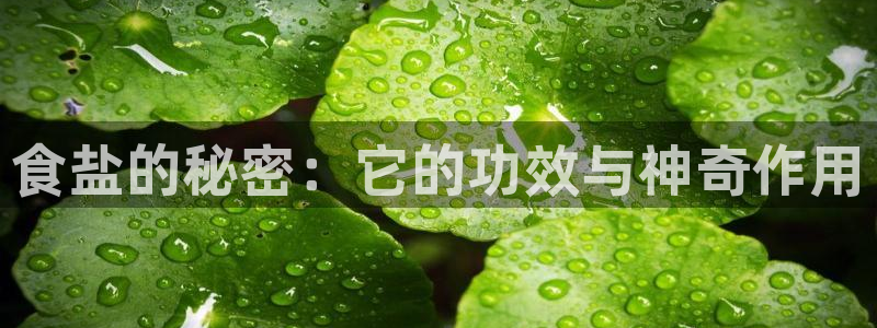威九国际合作伙伴有哪些