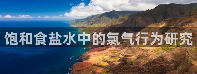 威九国际惠子