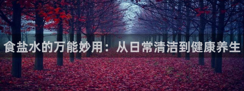 威九国际app网站官网
