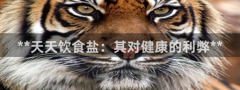 威九国际A