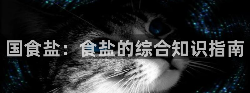 威九国际软件
