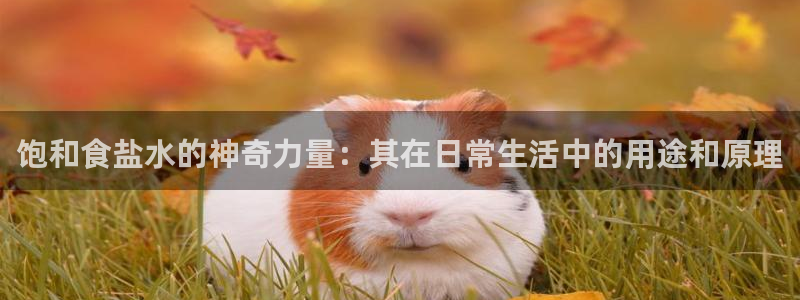 威九国际78mb下