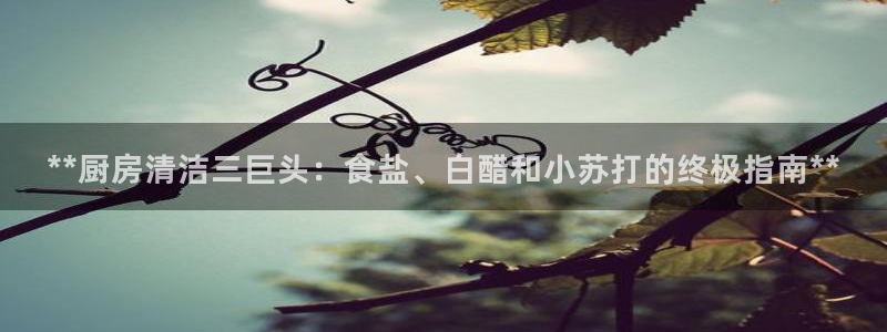 威九国际网站客服电话多少号码