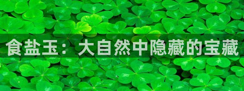 威九国际精忐