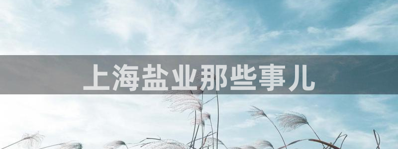 威九国际空降服务女演员名字