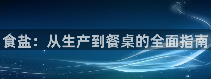 威九国际软件公司简介