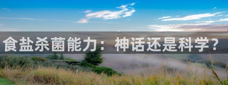 威九国际v96 bet会黑吗
