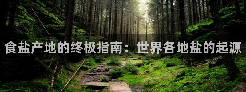 威九国际网站入口官网首页