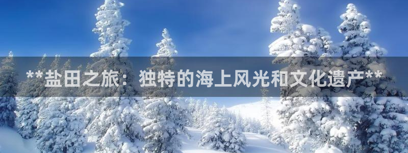 威九国际发布新版eBzxin2Tp
