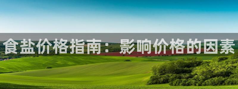 威九国际精选