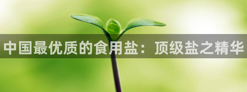 威九国际女明星
