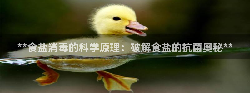威九国际理论片最经典十首歌曲