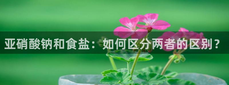 威九国际取款多到账