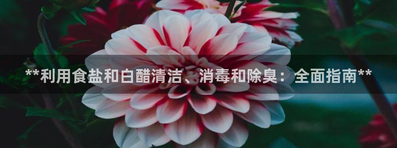 威九国际替好友去