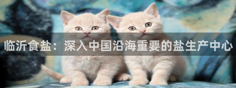 威九国际app下载