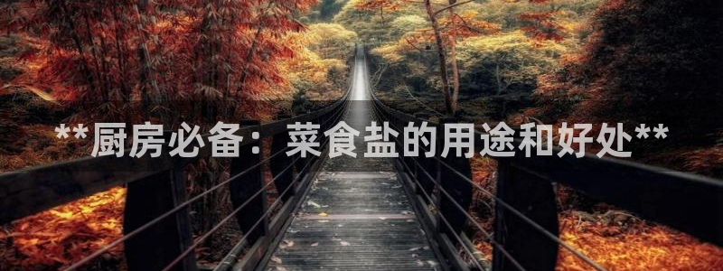 威九国际APP那个地方
