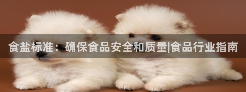 66m威九国际精选