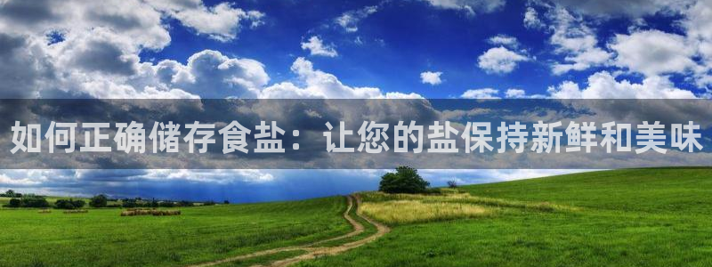 威九国际PPT
