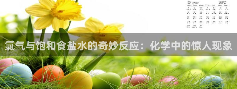 威九国际观看