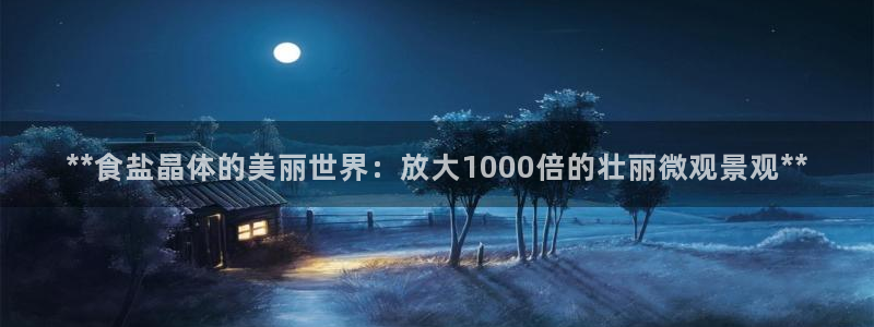 威九国际ft