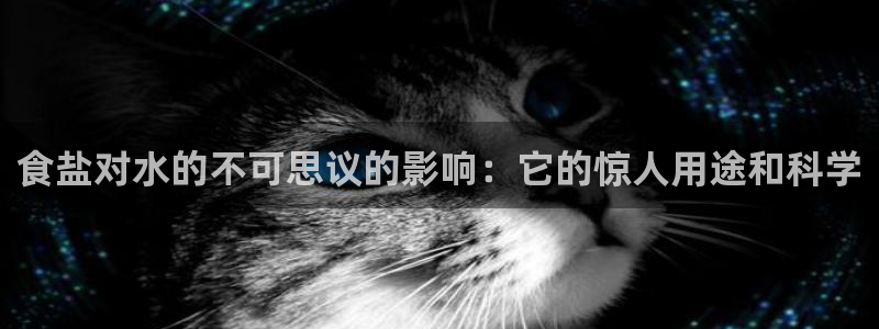 威九国际最近的视频