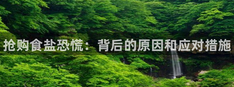威九国际ppt免费
