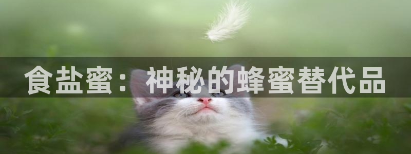 威九国际网站安全吗