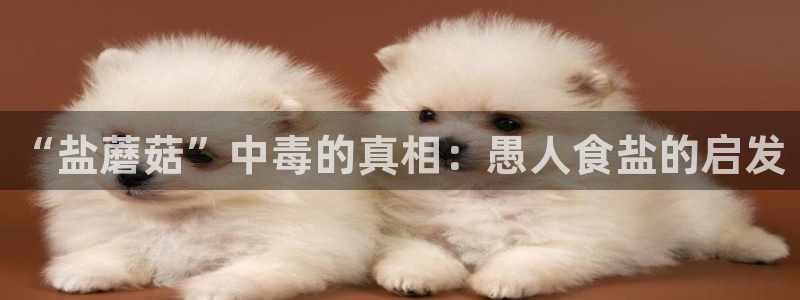 威九国际网站进入客服中心