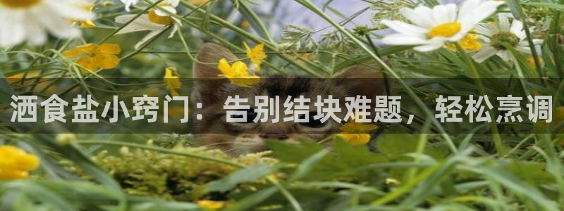威九国际清砖码头在哪