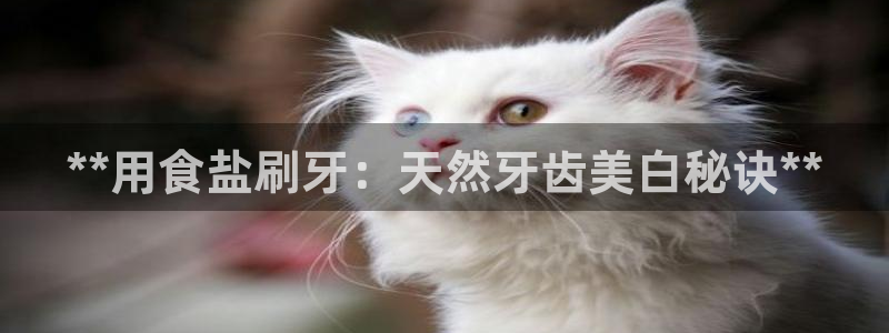 威九国际cm78