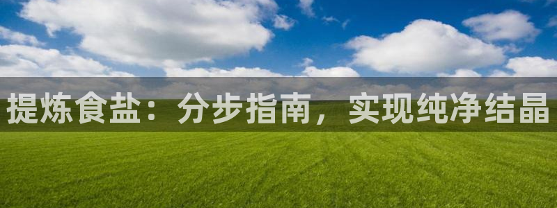 威九国际狂飚电影