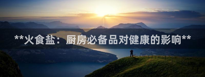 威九国际APP入口