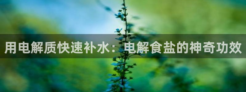 威九国际66视频