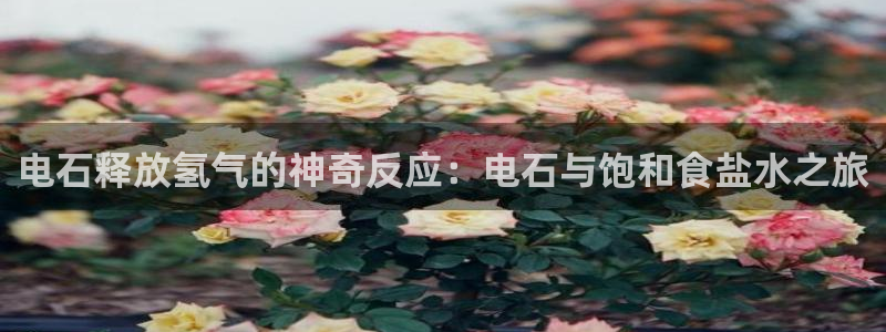 威九国际8ⅹ8x