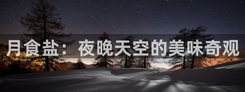 威九国际app网站