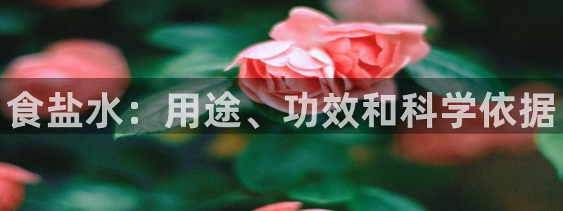 威九国际网站经常打不开