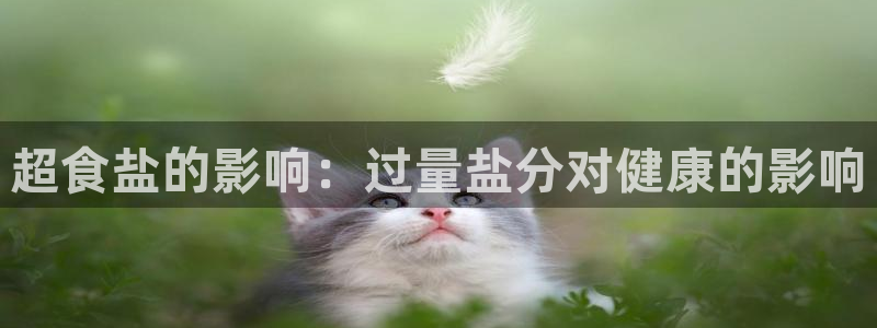 威九国际天美