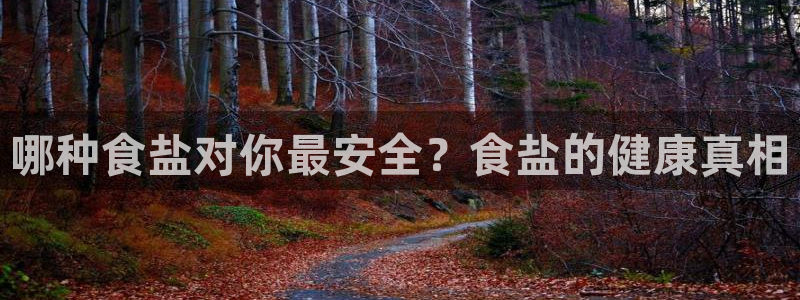 威九国际精选