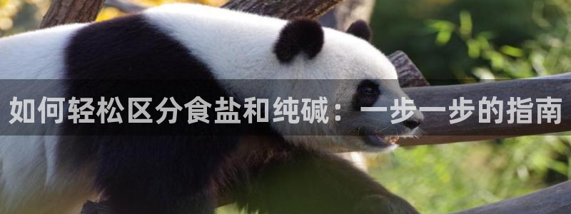 威九国际真人游戏